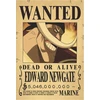 Plakatas One Piece