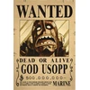 Plakatas One Piece