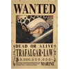 Plakatas One Piece