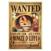 Plakatas one piece
