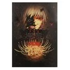 Plakatas Tokyo ghoul