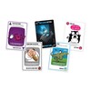 Asmodee sprogstantys kačiukai: sprogstantys kačiukai