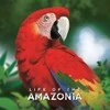 Bad Comet Life of the Amazonia