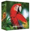 Bad Comet Life of the Amazonia