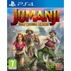 Bandai Namco Džiumandži: Vaizdo žaidimas