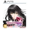 Bandai Namco Tales of Berseria Remastered PS5