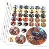 Cosmere RPG - Stormlight Tokens Pack