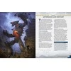 Cosmere RPG - Stormlight World Guide