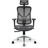 Diablo Chairs Diablo V-Basic Juodas-Pilkas ergonominė kėdė