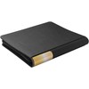 Dragon Shield Zipster Regular - Pilkas