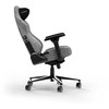 DXRACER Craft Series L M23 pilka ergonominė kėdė