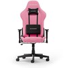 DXRACER Prince Series L rožinė ergonominė kėdė (F24-FBC-P)