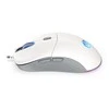 Endorfy GEM Plus balta pelė su laidu | 19000 DPI