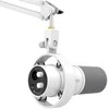 FIFINE K688CTW laidinis dinaminis mikrofonas su stovu | USB/XLR