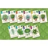 Flatout Games Verdant