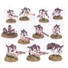 Konstruktorius Tyranids: Termagants Games Workshop, 79 d.