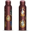 Pyramid Harry Potter (Colourful Crest) metalinis vandens buteliukas (560ml)