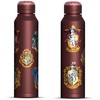 Gertuvė Pyramid Harry Potter (Colourful Crest) metalinis vandens buteliukas (560ml)