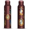 Pyramid Harry Potter (Colourful Crest) metalinis vandens buteliukas (560ml)