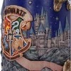 Nemesis Nowharry Potter Harry Potter Hario Poterio Hogvartso 3D puodelis (600ml)