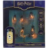 Harry Potter - Potion Bottle String LED lempa