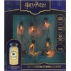 Harry Potter - Potion Bottle String LED lempa