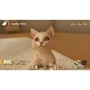 Sold Out Imagineer Little Friends: Dogs &amp; Cats