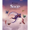 Iv Studio Soar - Limited Edition