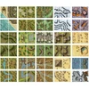 Loke Battlemats Loke Battle Mats: Giant Book of Battle Mats - Wilds, Wrecks & Ruins