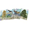 Lookout Games Forest Shuffle: Alpine