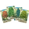 Lookout Games Forest Shuffle