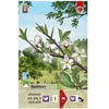 Lookout Games Forest Shuffle: Woodland Edge