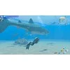 Nintendo Endless Ocean Luminous
