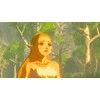 Nintendo Zelda legenda: laukinės gamtos kvėpavimas