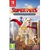 Outright Games DC League of Super Pets: The Adventures of Crypto and Ace