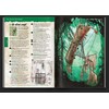 PIRATE BORG: Starter Set