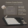 Royal Kludge R65 RGB Phantom laidinė mechaninė klaviatūra | 60%, Brown switches, US