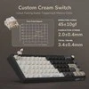 Royal Kludge R65 RGB Phantom laidinė mechaninė klaviatūra | 60%, Chartreuse switches, US
