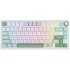 Royal Kludge RK R75 RGB Sky Cyan laidinė klaviatūra | 75%, Hot-swap, Mėlyna switches, US