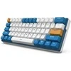 Royal Kludge RK61 Plus RGB Klein Mėlyna belaidė klaviatūra | 60%, Hot-swap, Brown switches, US
