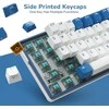 Royal Kludge RK61 Plus RGB Klein Mėlyna belaidė klaviatūra | 60%, Hot-swap, Brown switches, US