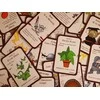 Steve Jackson Games Mazylis, maziukas