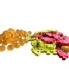 Stonemaier Games Finspan: Upgrade Pack (Wooden Tokens &amp; Squishy Eggs)