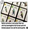 Stonemaier Games Wingspan: Americas Expansion