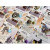 Stonemaier Games Wyrmspan: Dragon Academy