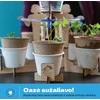 Techi Mano mažoji oazė