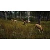 Thq Nordic Way of the Hunter PS5
