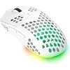 TRUST GXT 929W HELOX belaidė pelė | 4800 DPI
