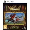 Warner Bros Kompiuterinis žaidimas Harry Potter: Quidditch Champions Deluxe Edition
