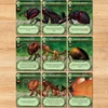 Weird City Games March Of The Ants Evolved Edition
